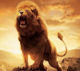 Foto pengguna kaigitte7