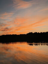 Zdjęcie użytkownika czekstonowy94