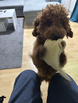 Фотография пользователя HOBO56