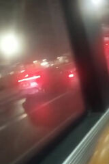 Zdjęcie użytkownika Lemurki