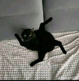 Фото користувача wujo200123