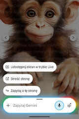 Zdjęcie użytkownika arekskwarekjamn