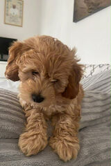 Fotos MateuszSowa2002