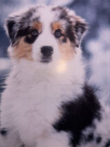 Benutzerfoto Hothot18