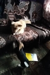 Foto pengguna kielasa1985