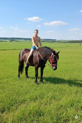 Zdjęcie użytkownika Wolos