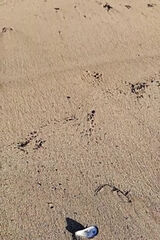 Фотография пользователя Gregqu