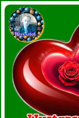 Benutzerfoto KrzysztofNamyslo