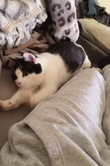 Zdjęcie użytkownika Siuber