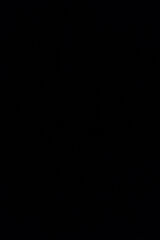 Zdjęcie użytkownika el1q