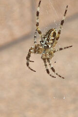 Foto pengguna martinus9