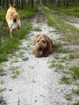 Zdjęcie użytkownika janbuksinski7