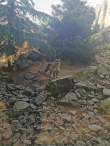 Zdjęcie użytkownika tuchi8686