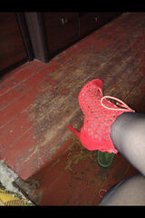 Zdjęcie użytkownika BarbaraPajak1974