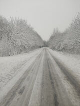 Zdjęcie użytkownika Tomfm