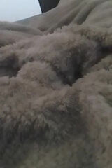 Фотография пользователя Dawidblues94