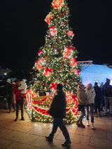 Benutzerfoto jacekbrudnicki5