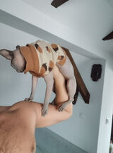 Foto pengguna mikolajmildner