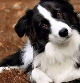 Zdjęcie użytkownika italianomirek94