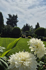 Benutzerfoto robcio80