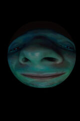 Zdjęcie użytkownika Kazikpro2014