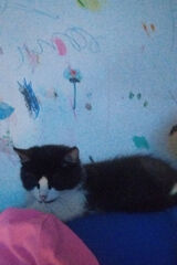 Foto utilizatorului madorota67