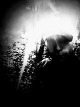 Zdjęcie użytkownika nexx22726