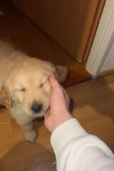 Zdjęcie użytkownika stanek032