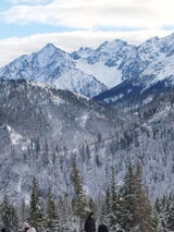 Zdjęcie użytkownika DobyczynJ