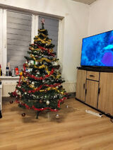 Zdjęcie użytkownika karolinasuchosta16