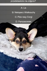 Benutzerfoto babarracus98