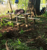 Zdjęcie użytkownika donczitodoniu2024