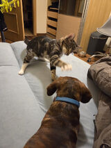 Zdjęcie użytkownika DDD71830