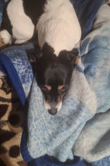 Zdjęcie użytkownika pansamochodzik1978