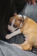 Zdjęcie użytkownika marcin14021980