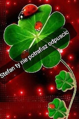 Zdjęcie użytkownika ninfawkoralowa