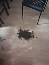 Zdjęcie użytkownika cher1909