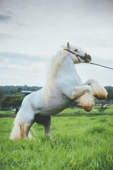 Фото користувача radoczawo