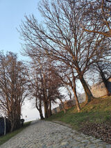 Foto pengguna Catrina88