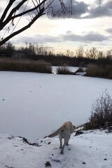 Фотография пользователя Tommy001