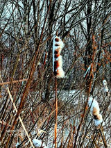 Benutzerfoto mariuszpoeta37