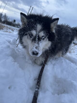 Zdjęcie użytkownika Sebastiandes