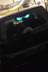 Photos marcinpiecha90