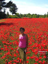 Zdjęcie użytkownika miroslawagrzelak3