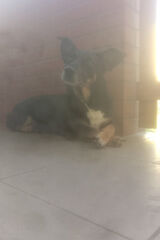 Zdjęcie użytkownika ShadyBoy