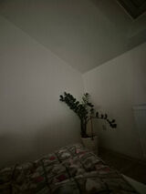 Zdjęcie użytkownika vertixprt