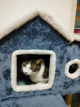 Foto pengguna bubeczka1