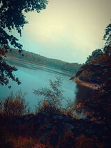 Zdjęcie użytkownika ogrZbagna