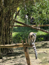 Фото користувачаmkcp6bpq7s