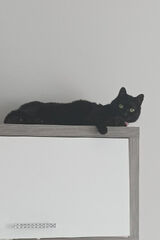 Фото користувача szybuc